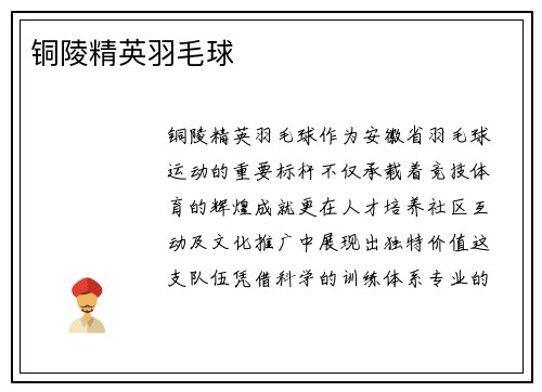 铜陵精英羽毛球
